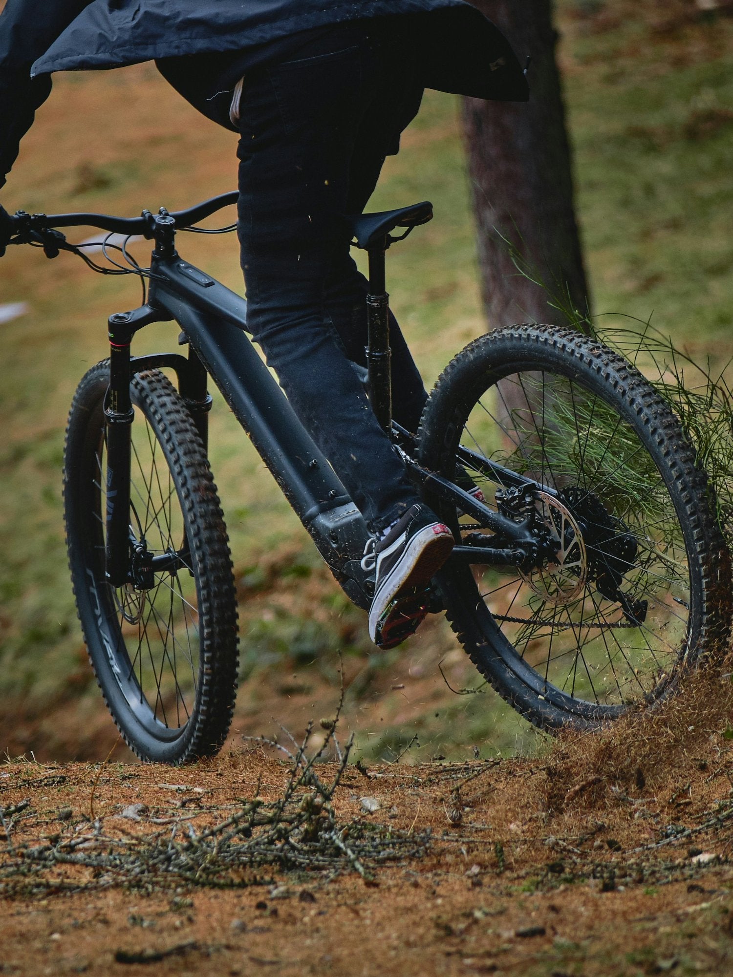 MOUNTAIN E-BIKES