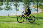 DYU Stroll 1 250W City Electric Bike