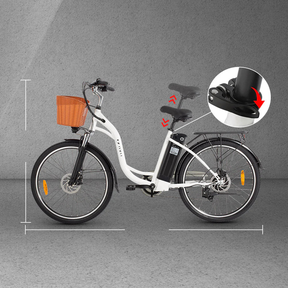 DYU C6 250W Road Legal City Electric Bike