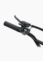 Engwe L20 Boost 250W Step-Through Electric Bike