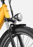 Engwe E26 250W Fat Tyre Electric Bike