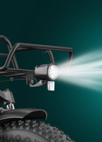 Engwe L20 Boost 250W Step-Through Electric Bike