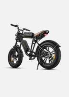 Engwe M20 Fat Tyre Off-Road Electric Bike