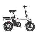 Engwe T14 250W Folding Electric Bike
