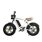 Engwe M20 Fat Tyre Off-Road Electric Bike