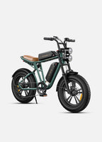 Engwe M20 Fat Tyre Off-Road Electric Bike