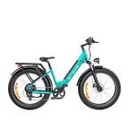 Engwe E26 250W Fat Tyre Electric Bike