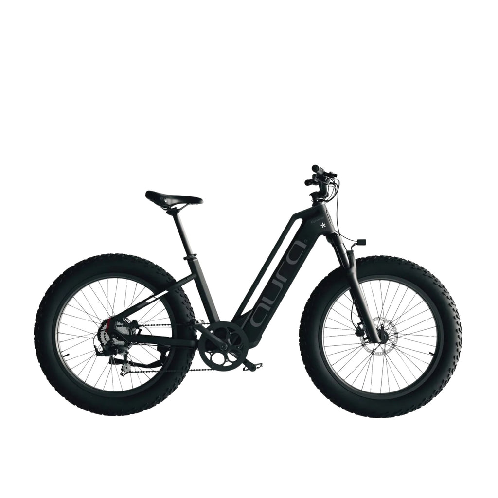 Cyrusher Aura 250W Road Legal Step-Through Fat Tyre Electric Bike