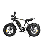 Engwe M20 Fat Tyre Off-Road Electric Bike