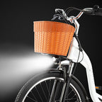 DYU C6 250W Road Legal City Electric Bike