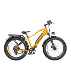 Engwe E26 250W Fat Tyre Electric Bike