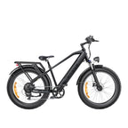 Engwe E26 250W Fat Tyre Electric Bike