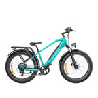 Engwe E26 250W Fat Tyre Electric Bike