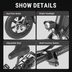 DYU C3 250W Folding Electric Bike