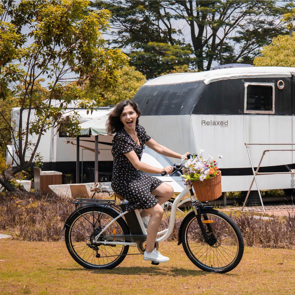 DYU C6 250W Road Legal City Electric Bike