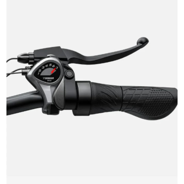 Engwe E26 250W Fat Tyre Electric Bike