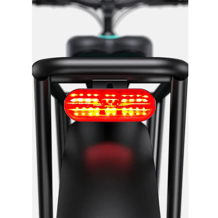 Engwe E26 250W Fat Tyre Electric Bike