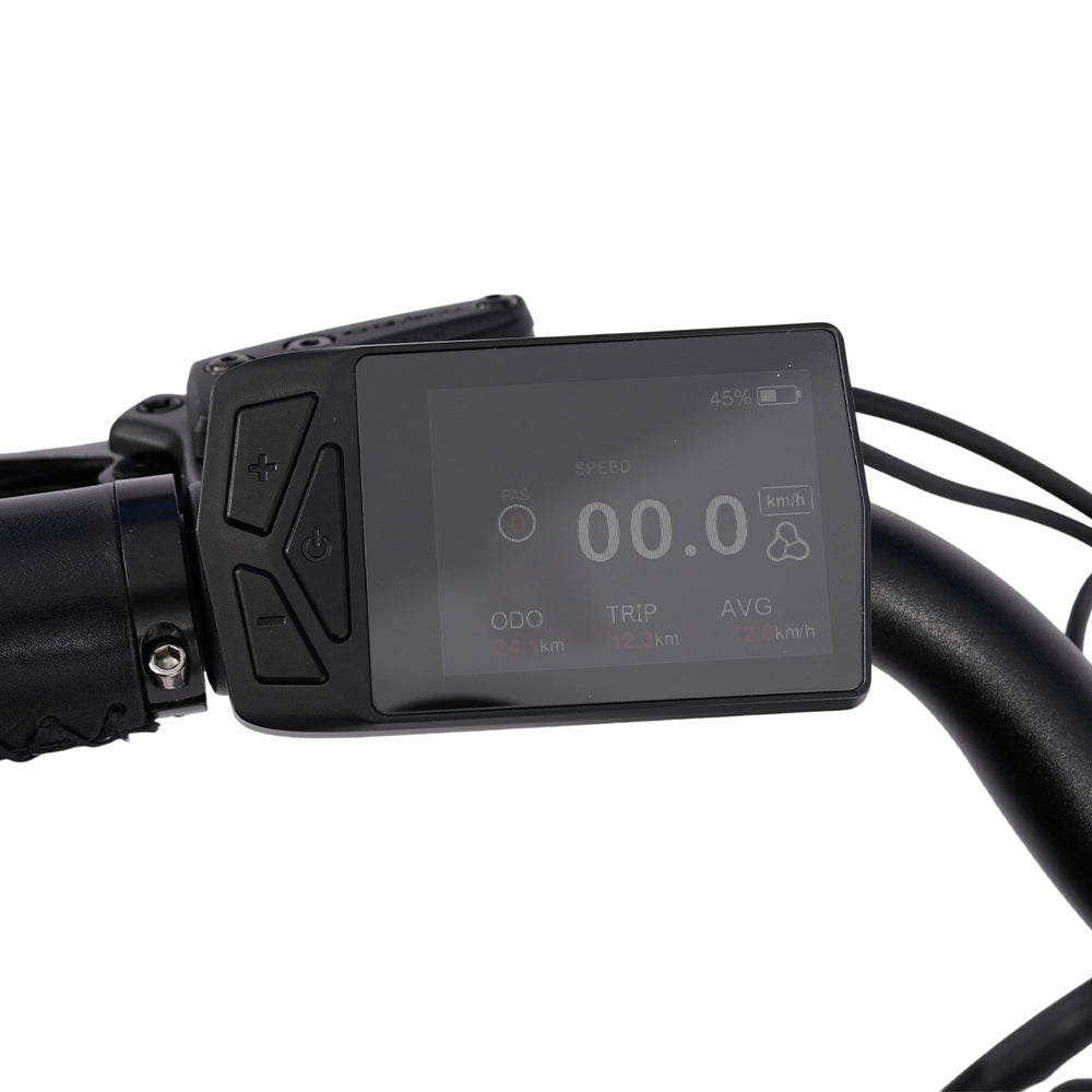 Hygge Herlev Auto Road Legal Electric Bike 250W