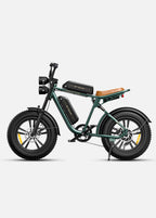 Engwe M20 Fat Tyre Off-Road Electric Bike