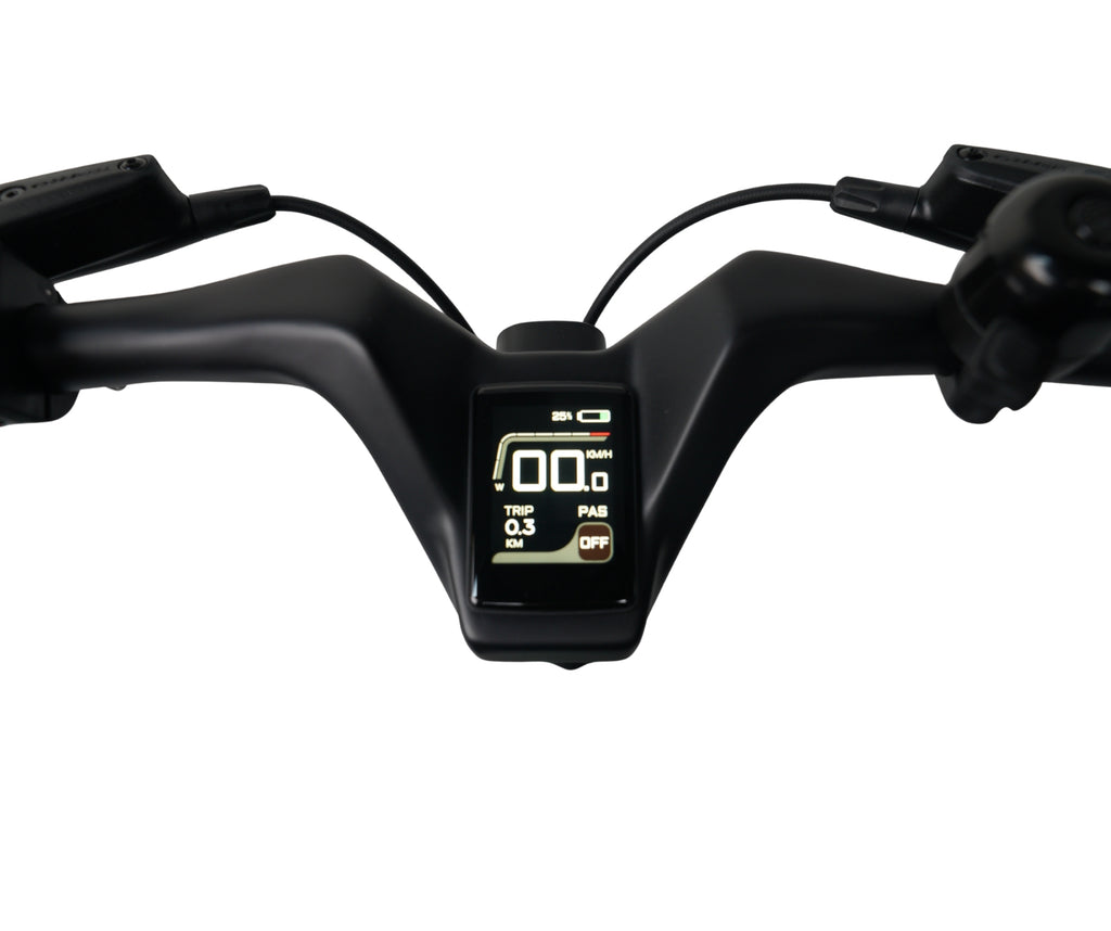 E-Go CarbonLite Road Legal Folding Electric Bike 250W