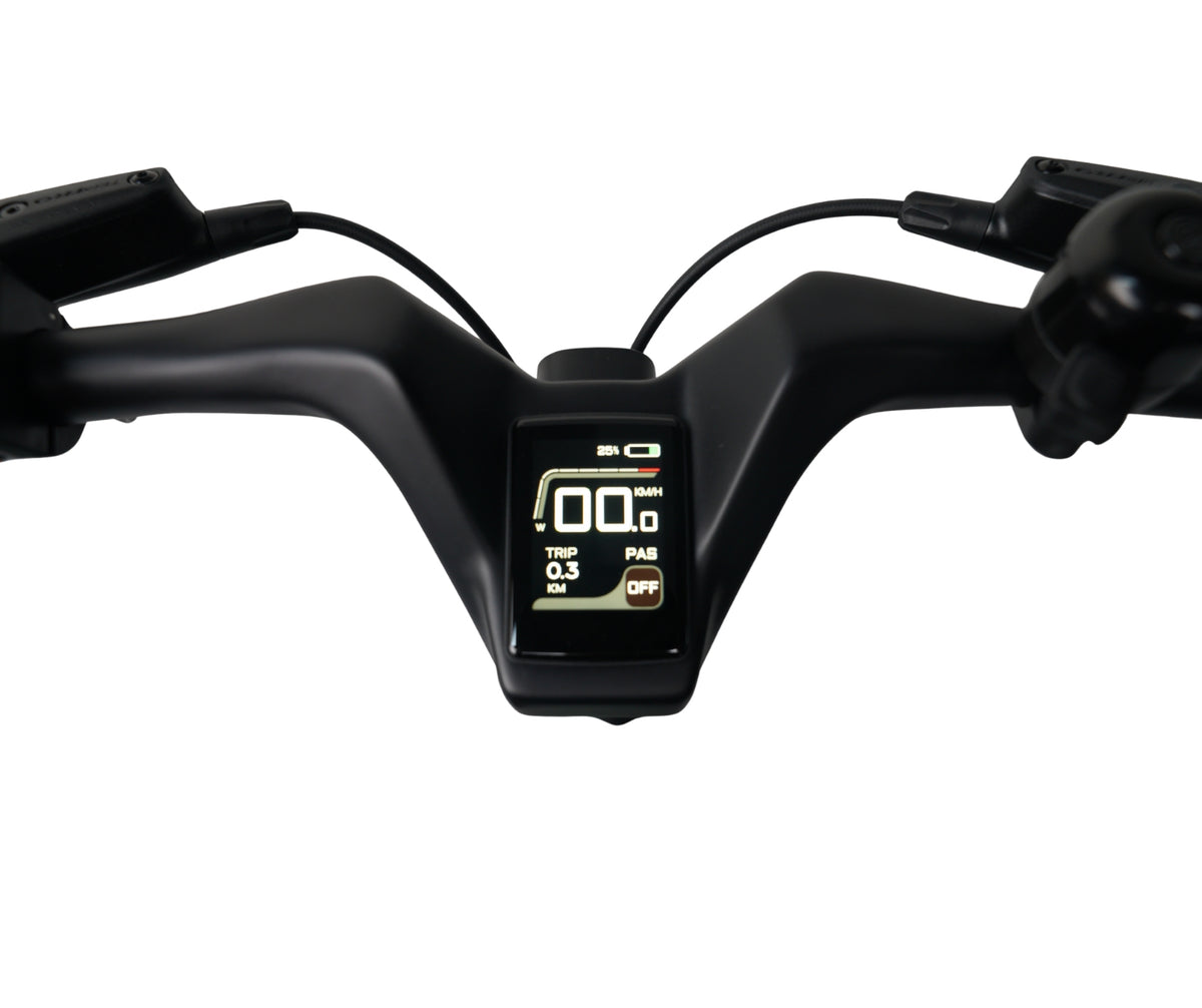 E-Go CarbonLite Road Legal Folding Electric Bike 250W