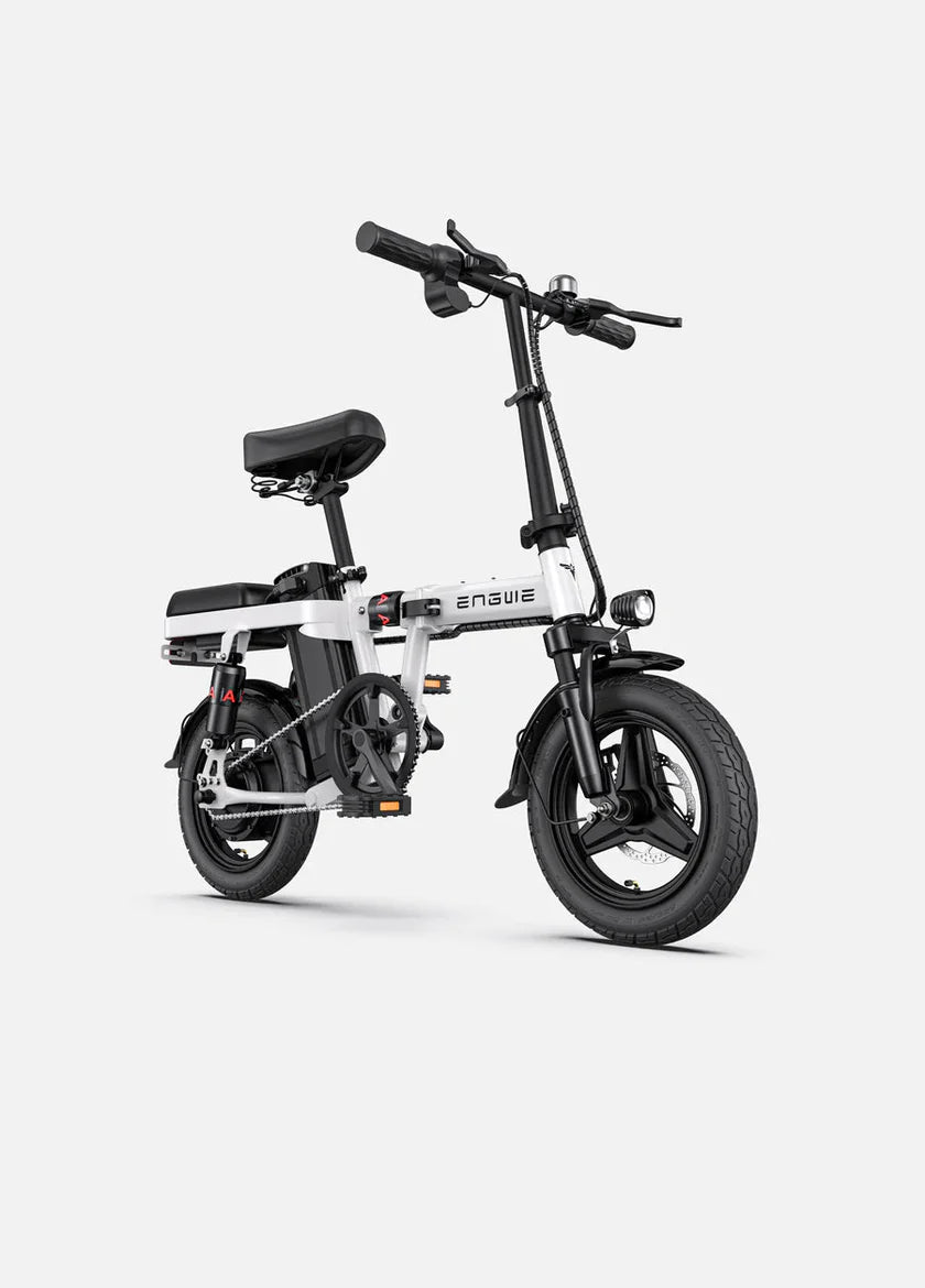 Engwe T14 250W Folding Electric Bike