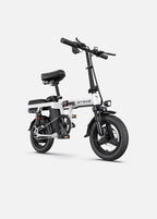 Engwe T14 250W Folding Electric Bike