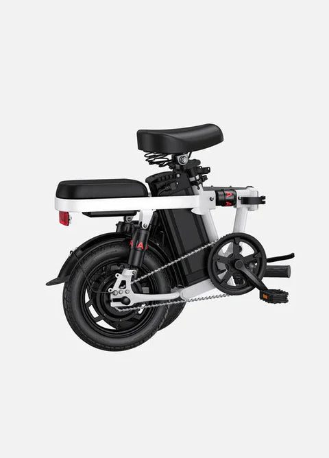 Engwe T14 250W Folding Electric Bike