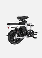 Engwe T14 250W Folding Electric Bike