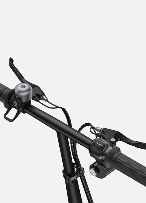 Engwe T14 250W Folding Electric Bike