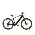 Falcon Turbine Electric Mountain Bike